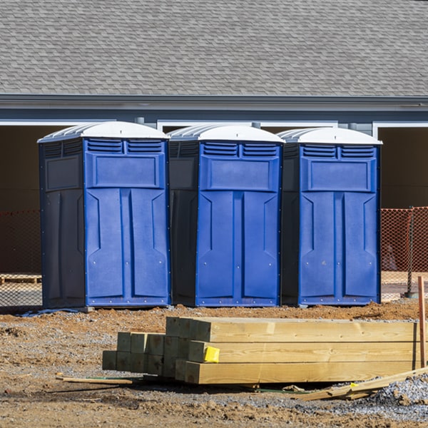 do you offer wheelchair accessible porta potties for rent in Seco Mines Texas